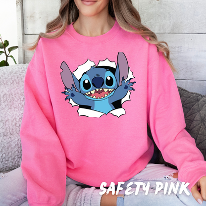 Cute Surprise Sweatshirt Adults and Kids